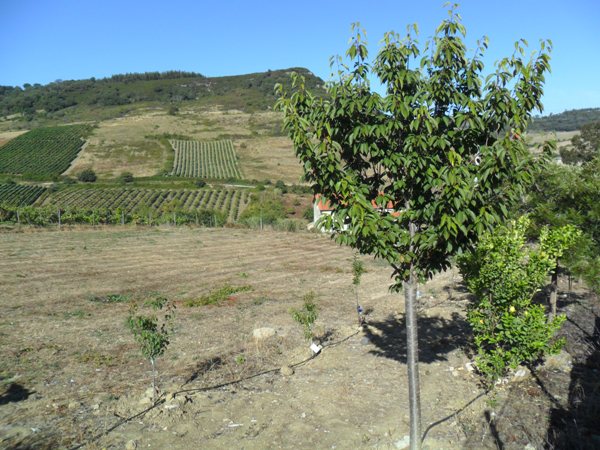 /fileuploads/Instalações%20e%20Equipamentos/Recepção%20e%20Exterior/_quintadascores_lar_de_idosos_residencia_senior_casa_de_repouso_espaço_de_cultivo.JPG