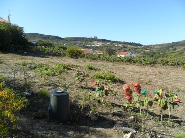 /fileuploads/Instalações%20e%20Equipamentos/Recepção%20e%20Exterior/_quintadascores_lar_de_idosos_residencia_senior_casa_de_repouso_espaço_de_cultivo_e_compostagem.JPG